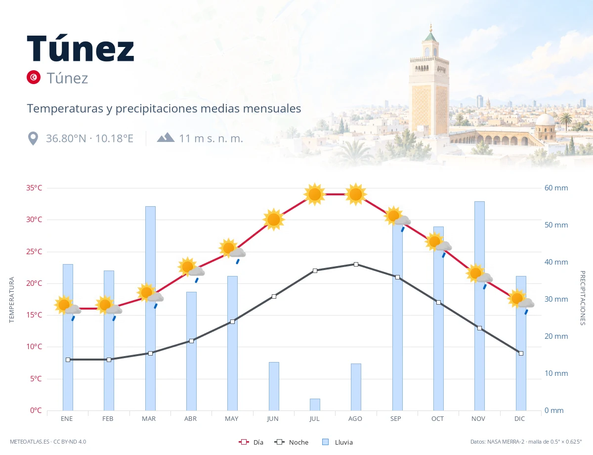 Túnez - temperaturas y precipitaciones medias mensuales
